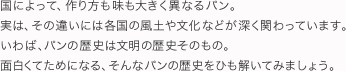 国によって、作り方も味も大きく異なるパン。実は、その違いには各国の風土や文化などが深く関わっています。いわば、パンの歴史は文明の歴史そのもの。面白くてためになる、そんなパンの歴史をひも解いてみましょう。